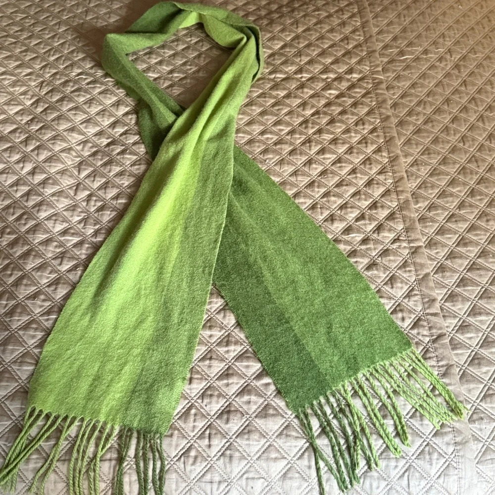 Ann Taylor Cashmere Long Scarf with Fringe with Green Ombre Wide Stripe. Unisex.